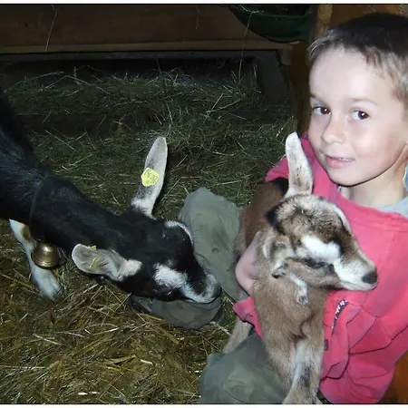 Apartmán Familienbauernhof Bereuter *